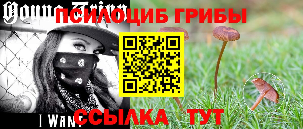 Псилоцибиновые грибы мухоморы Камышин