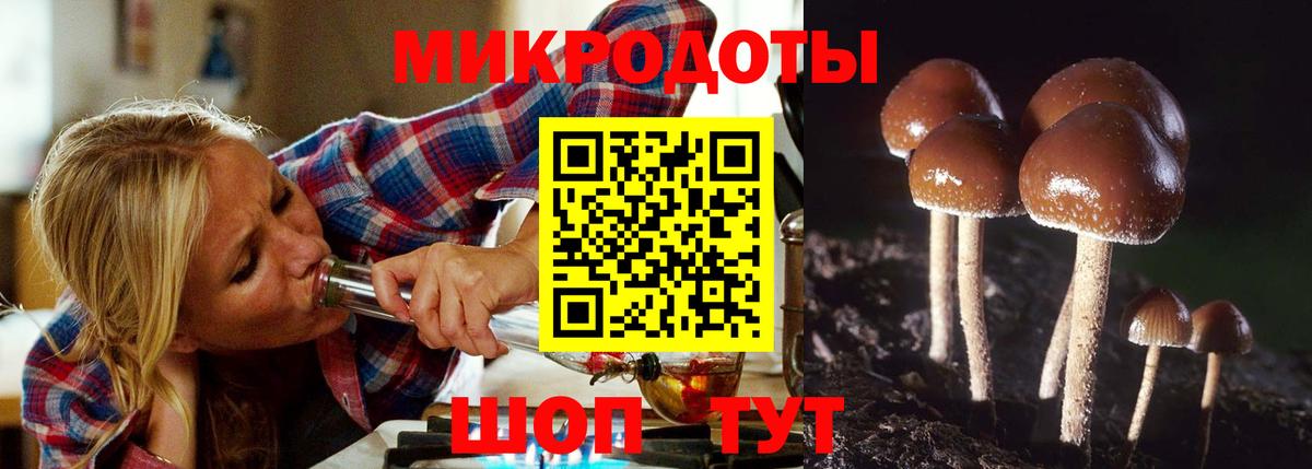 Камышин  Галлюциногенные грибы прущие грибы  Вход с VPN 